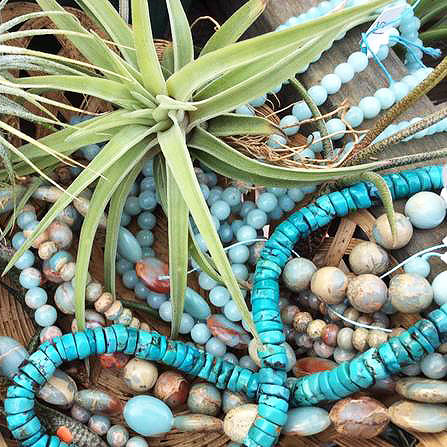 Closeup of air plants and blue beaded necklaces.